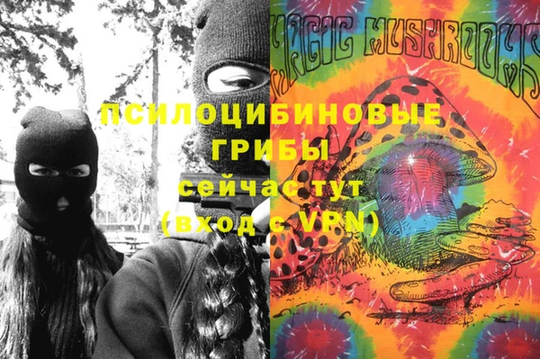 ПСИЛОЦИБИНОВЫЕ ГРИБЫ Волоколамск