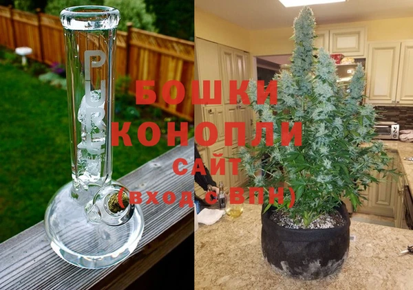 прущие крисы Вяземский