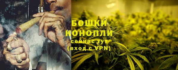 гашик Вязники