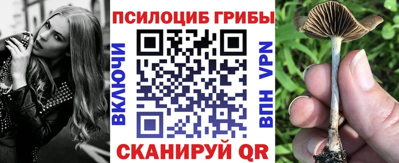 Галлюциногенные грибы MAGIC MUSHROOMS  Змеиногорск 
